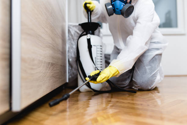 Best Wasp Removal Services  in Taylorvle, IL