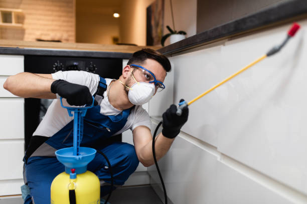 Best Emergency Pest Control  in Taylorvle, IL