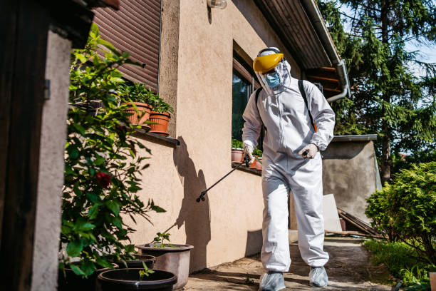 Best Pest Control Near Me  in Taylorvle, IL