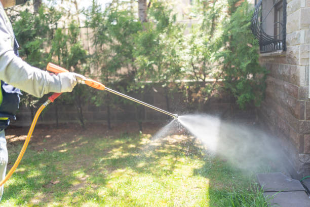 Best Wildlife Control Services  in Taylorvle, IL