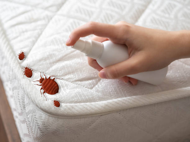 Best Cockroach Control Services  in Taylorvle, IL