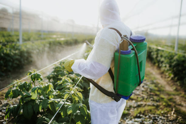 Trusted Taylorville, IL Pest Control Experts